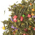 Чай зеленый Мишки Гамми, ароматизированный опт