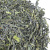 Чай зеленый Сенча, 250 г опт
